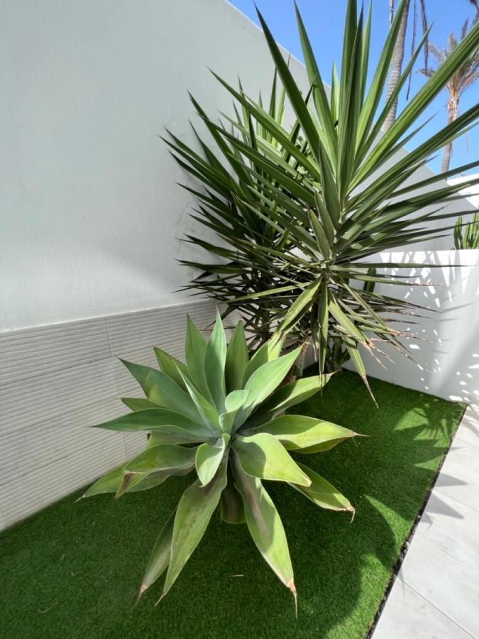 Corralejo Bristol Terrace Apartment Con Giardino Privato Esterno Ngoại thất bức ảnh