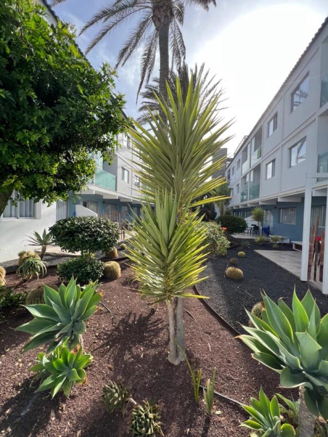 Corralejo Bristol Terrace Apartment Con Giardino Privato Esterno Ngoại thất bức ảnh